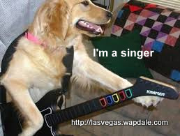 funny pictures 2